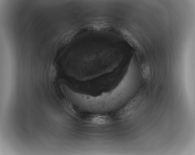 X0000113350471200909221147
