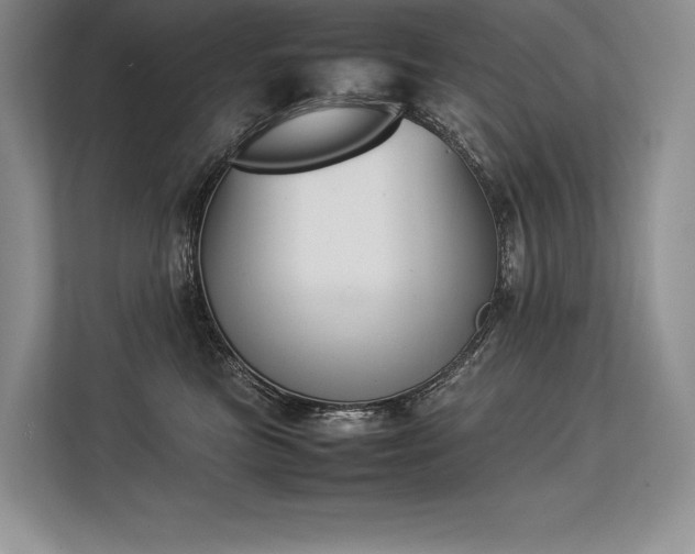 X0000113350473200909221148