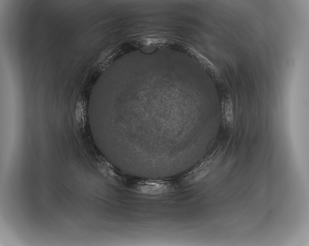 X0000113350475200909221148