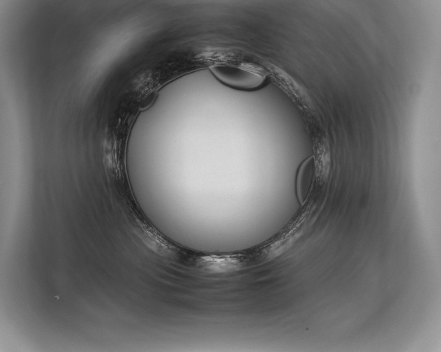 X0000113350477200909221148
