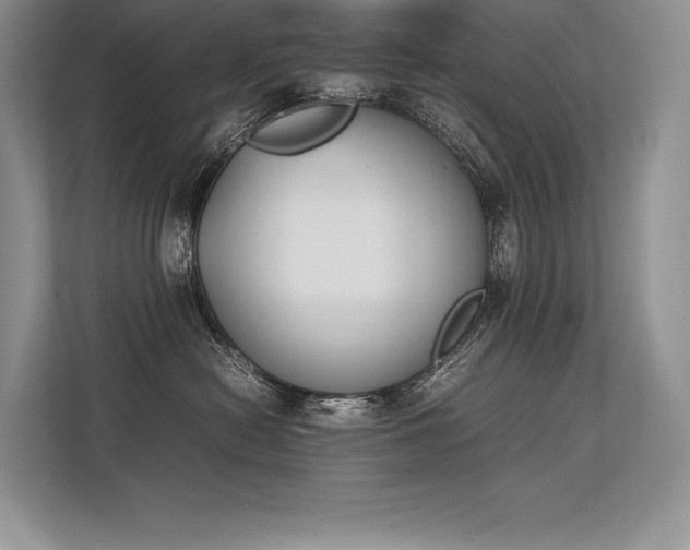 X0000113350478200909221148