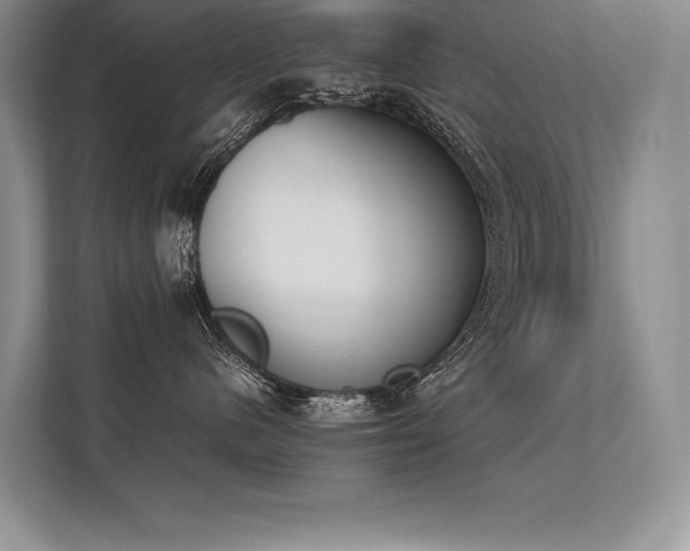 X0000113350480200909221148