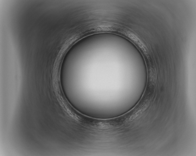 X0000113350481200909221147