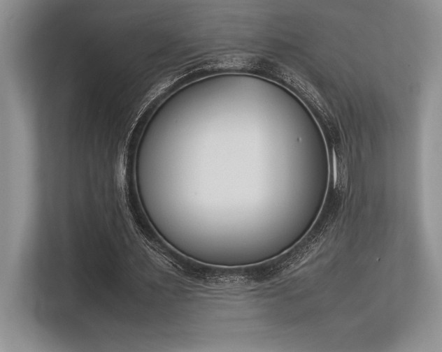 X0000113350483200909221147