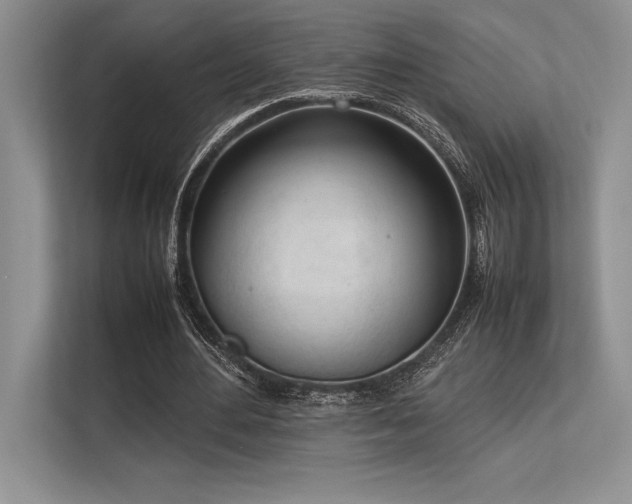 X0000113350484200909221147