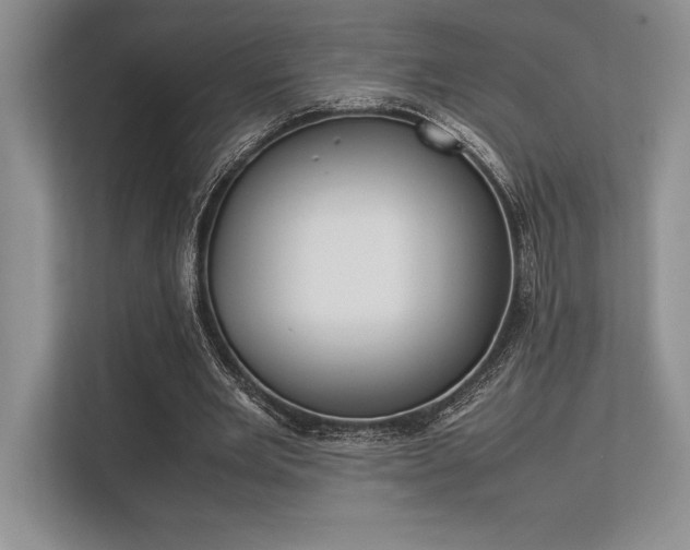 X0000113350485200909221147