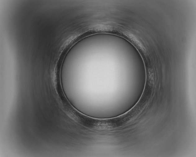 X0000113350487200909221147