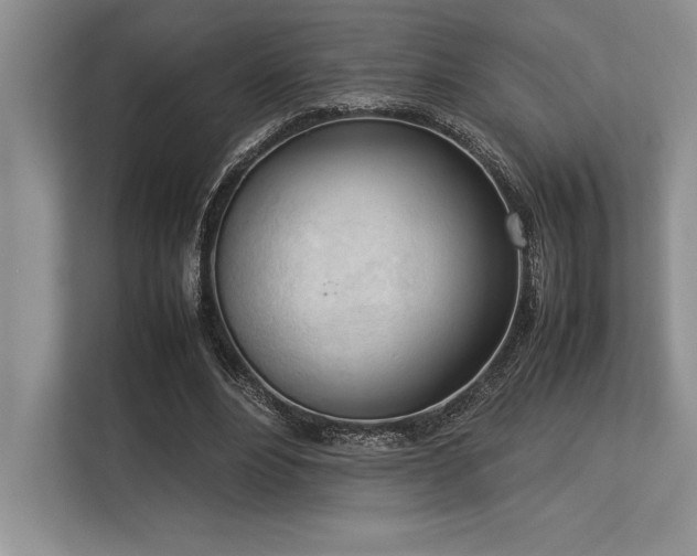 X0000113350488200909221147