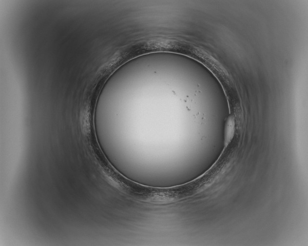 X0000113350489200909221147