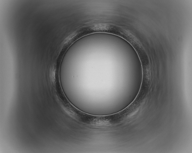 X0000113350491200909221147