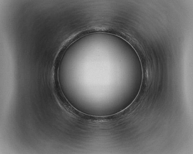 X0000113350492200909221147