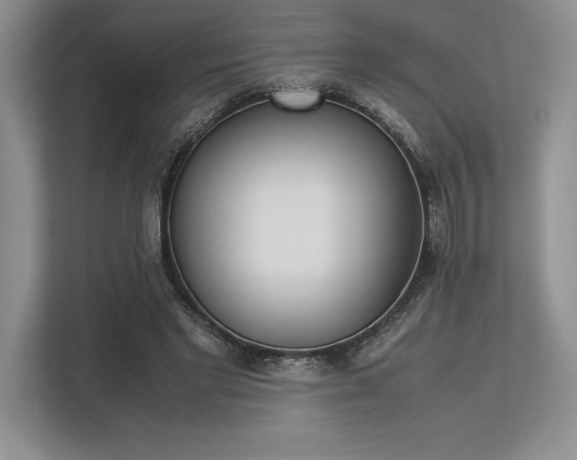 X0000113350493200909221147