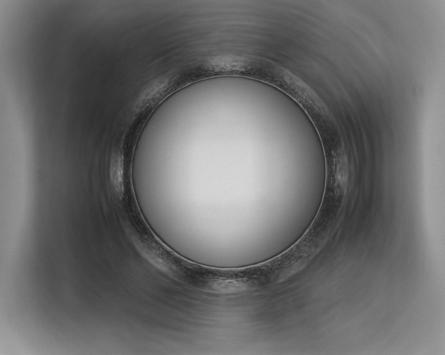 X0000113350494200909221147