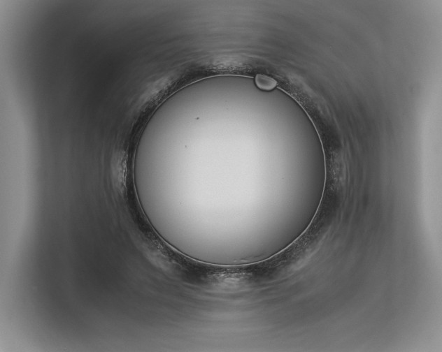X0000113350495200909221147