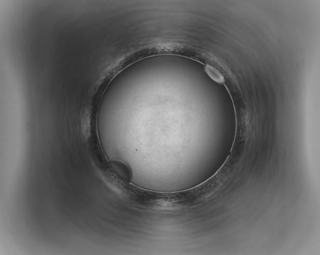 X0000113350496200909221147