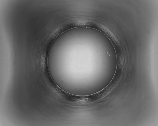 X0000113350497200909221147