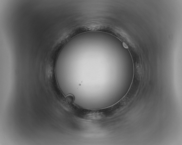 X0000113350499200909221147
