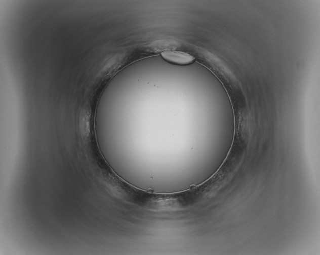X0000113350501200909221147
