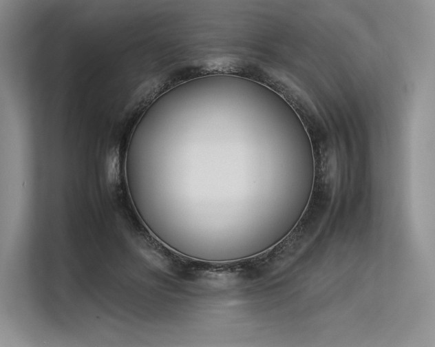 X0000113350502200909221147