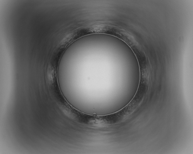 X0000113350503200909221147