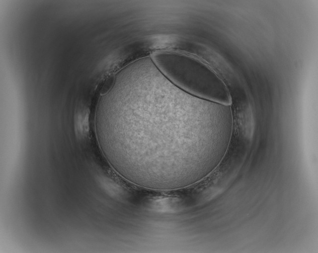 X0000113350504200909221146