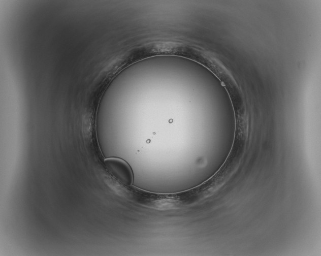 X0000113350505200909221146