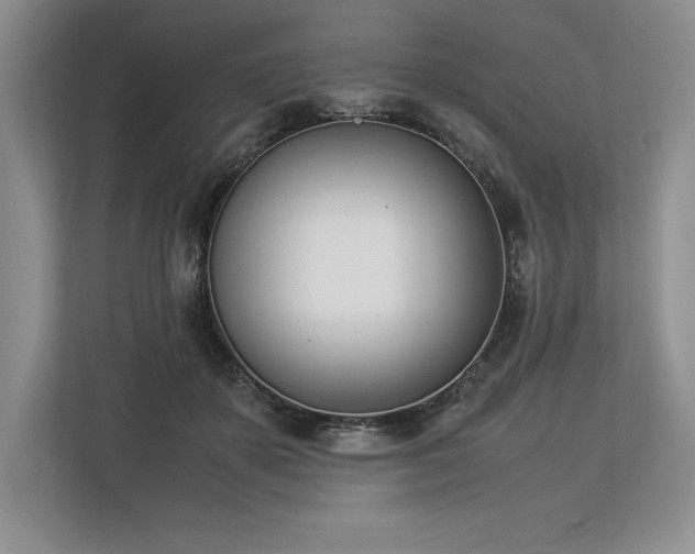 X0000113350507200909221146