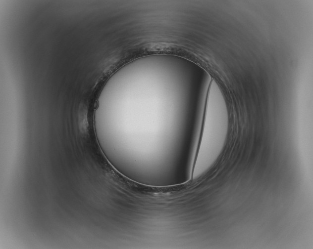 X0000113350508200909221146