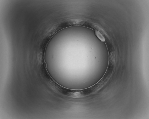 X0000113350509200909221146