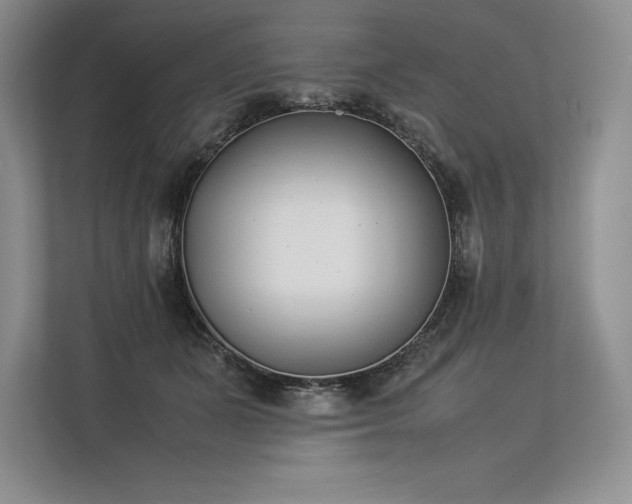 X0000113350511200909221146