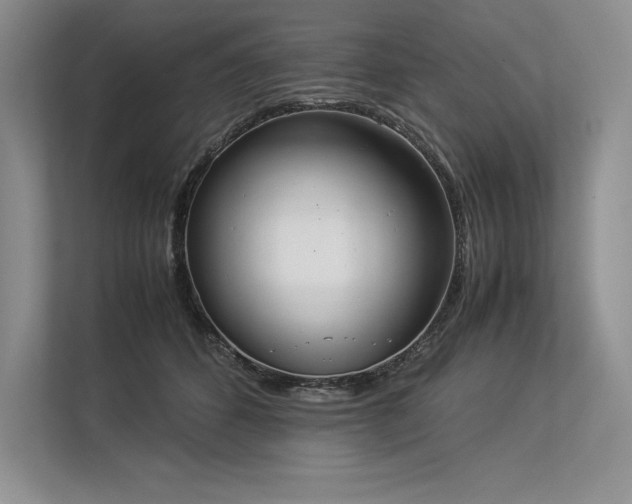 X0000113350512200909221146