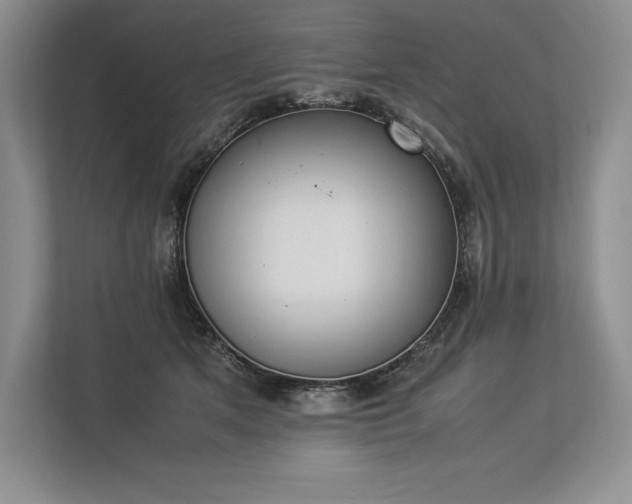 X0000113350513200909221146