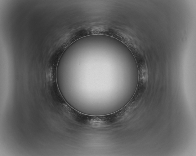 X0000113350519200909221146