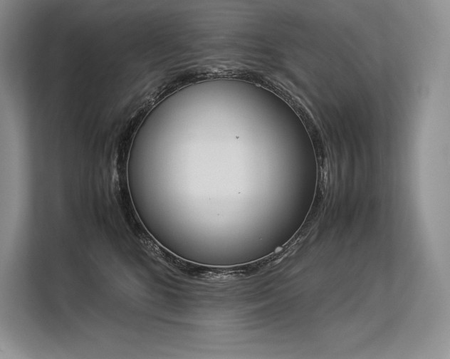 X0000113350520200909221146