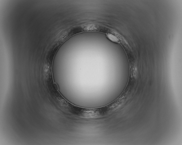 X0000113350521200909221146