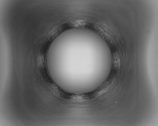 X0000113350523200909221146