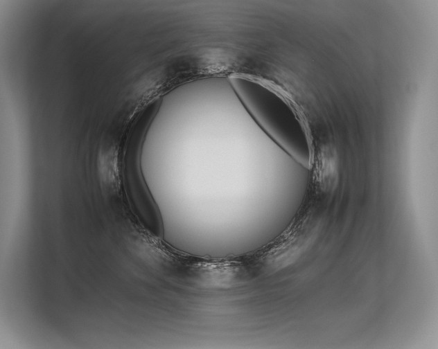 X0000113350524200909221146