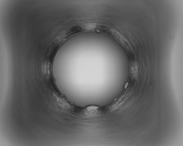 X0000113350525200909221146