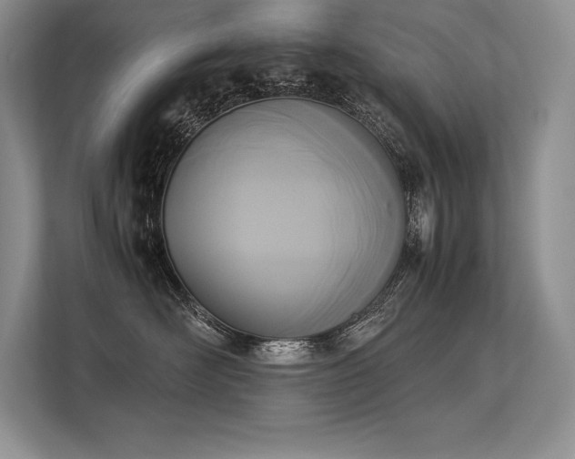 X0000113350526200909221146