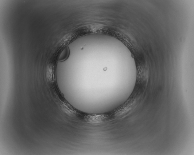 X0000113350527200909221146