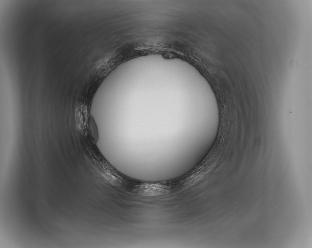 X0000113350528200909221146