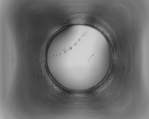 X0000113350529200909221146