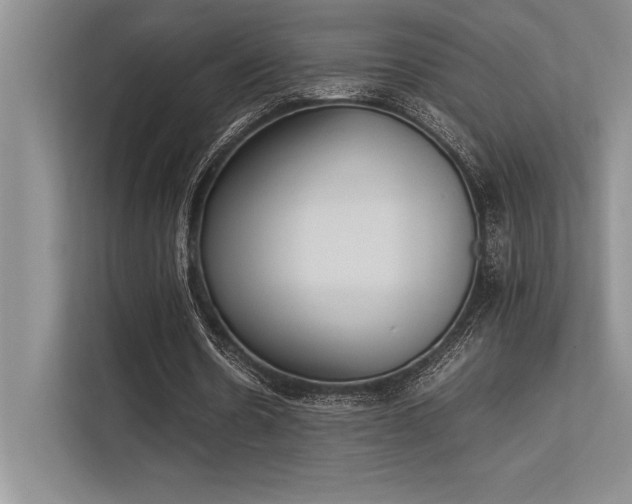X0000113350530200909221146
