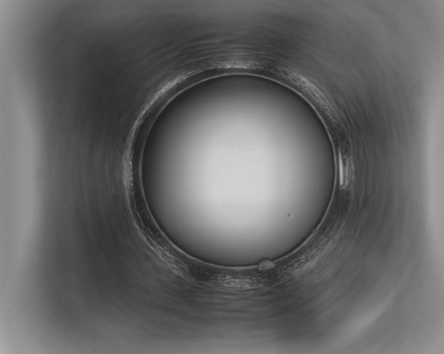 X0000113350531200909221146
