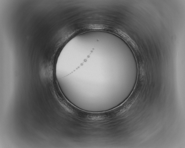 X0000113350533200909221146