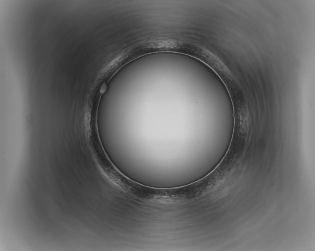 X0000113350538200909221146