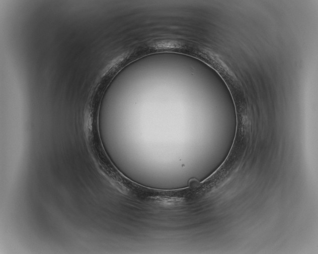 X0000113350539200909221146