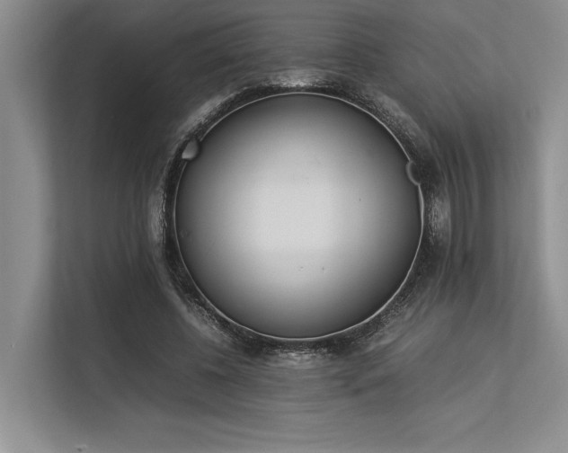 X0000113350540200909221146