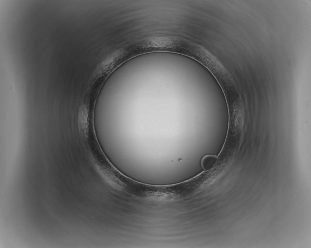 X0000113350542200909221146