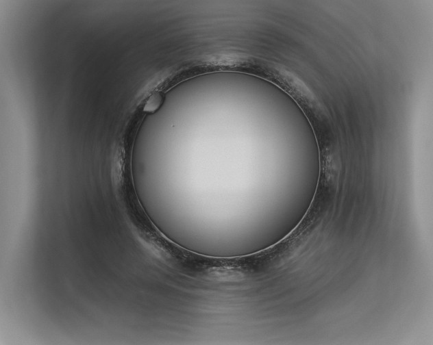 X0000113350544200909221146